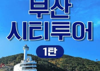[KTX-서울역/광명역/대전역] 부산시티투어(1탄) - 태종대/송도케이블카/흰여울문화마을/산만디투어/자갈치시장 여행(당일)