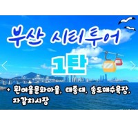 [KTX-서울역/광명역/대전역] 부산시티투어(1탄) - 태종대/송도케이블카/흰여울문화마을/산만디투어/자갈치시장 여행(당일)