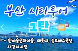 [KTX-서울역/광명역/대전역] 부산시티투어(1탄) - 태종대/송도케이블카/흰여울문화마을/산만디투어/자갈치시장 여행(당일)
