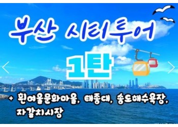 [KTX-서울역/광명역/대전역] 부산시티투어(1탄) - 태종대/송도케이블카/흰여울문화마을/산만디투어/자갈치시장 여행(당일)