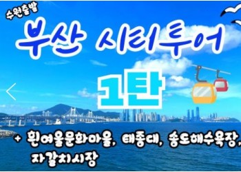 [KTX-수원역/대전]부산시티투어(1탄) - 태종대/송도케이블카/흰여울문화마을/산만디투어/자갈치시장 여행(당일)