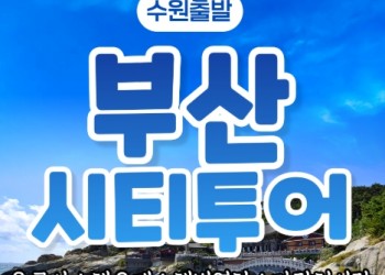 [KTX-수원역/대전]부산시티투어(1탄) - 태종대/송도케이블카/흰여울문화마을/산만디투어/자갈치시장 여행(당일)
