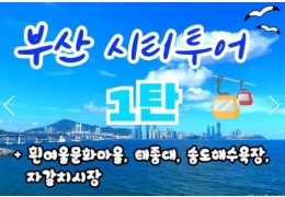 [KTX-수원역/대전]부산시티투어(1탄) - 태종대/송도케이블카/흰여울문화마을/자갈치시장 여행(당일)