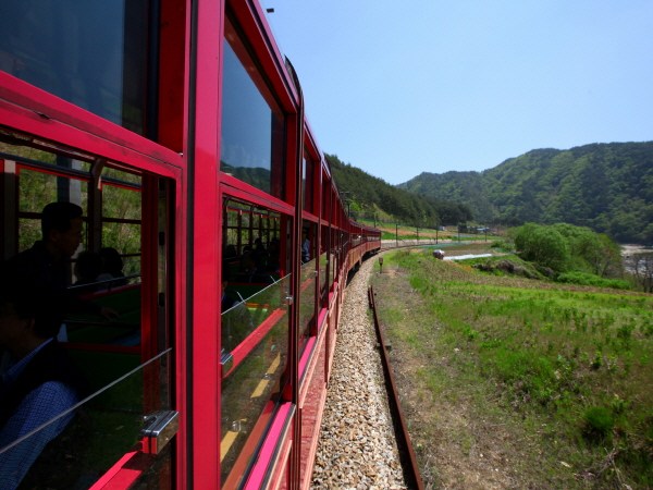 백두대간 협곡열차 & 환상선(승부*분천) & 묵호항 & 추암 여행(당일)