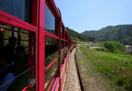 백두대간 협곡열차 & 환상선(승부*분천) & 묵호항 & 추암 여행(당일)