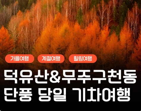 KTX - 덕유산 향적봉 & 관광곤도라 & 무주구천동계곡 여행(당일)