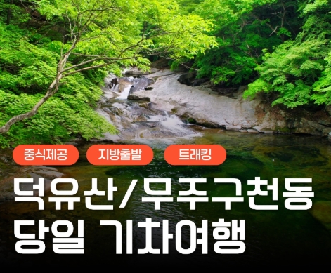 KTX - 덕유산 향적봉 & 관광곤도라 & 무주구천동계곡 여행(당일)