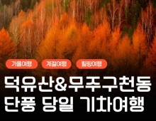 KTX - 덕유산 향적봉 & 관광곤도라 & 무주구천동계곡 여행(당일)