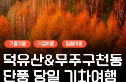 KTX - 덕유산 향적봉 & 관광곤도라 & 무주구천동계곡 여행(당일)