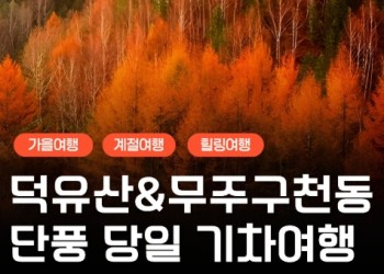 KTX - 덕유산 향적봉 & 관광곤도라 & 무주구천동계곡 여행(당일)