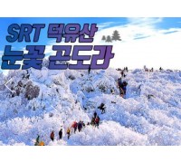 SRT - 덕유산 향적봉(정상) & 관광곤도라 & 무주구천동계곡 여행(당일)