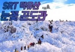 SRT - 덕유산 향적봉(정상) & 관광곤도라 & 무주구천동계곡 여행(당일)