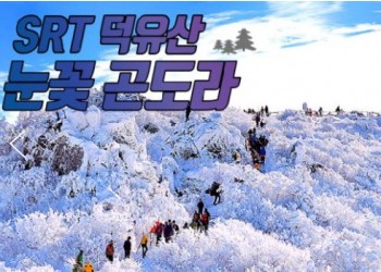 SRT - 덕유산 향적봉(정상) & 관광곤도라 & 무주구천동계곡 여행(당일)