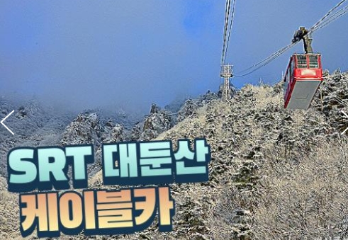 SRT - 대둔산 구름다리 눈꽃 & 케이블카 설경 & 뿌리공원 & 하늘물빛정원 여행(당일)