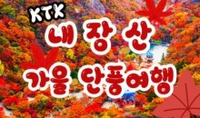 KTX - 가을여행의 1번지!! 내장산(내장사)가을단풍 여행 (당일)- 7:43