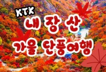 KTX - 가을여행의 1번지!! 내장산(내장사)가을단풍 여행 (당일)- 7:43
