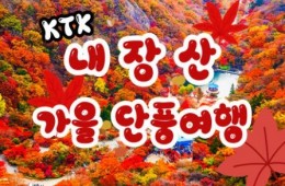 KTX - 가을여행의 1번지!! 내장산(내장사)가을단풍 여행 (당일)- 7:43
