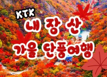 KTX - 가을여행의 1번지!! 내장산(내장사)가을단풍 여행 (당일)- 7:43
