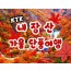 KTX - 가을여행의 1번지!! 내장산(내장사)가을단풍 여행 (당일)- 7:43