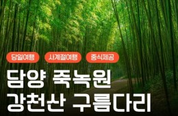 (수원출발)KTX+새승 - 담양 시티투어 여행(당일)-담양죽녹원/강천산구름다리/메타세콰이어