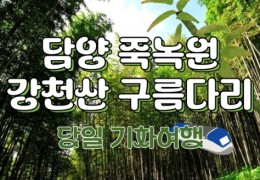SRT - 강천산 구름다리 단풍 & 담양죽녹원 & 메타세콰이어 여행(당일)