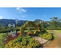 [팔도장터열차] 4월 15일(수) 진안 마이산 벚꽃 / 임실 옥정호+붕어섬