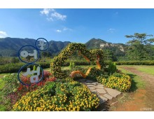 [팔도장터열차] 4월 15일(수) 진안 마이산 벚꽃 / 임실 옥정호+붕어섬