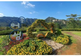 [팔도장터열차] 4월 15일(수) 진안 마이산 벚꽃 / 임실 옥정호+붕어섬