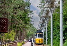 [KTX-1박]♠호텔♠부산(해운대/해변열차)vs울산(간절곶/대왕암)