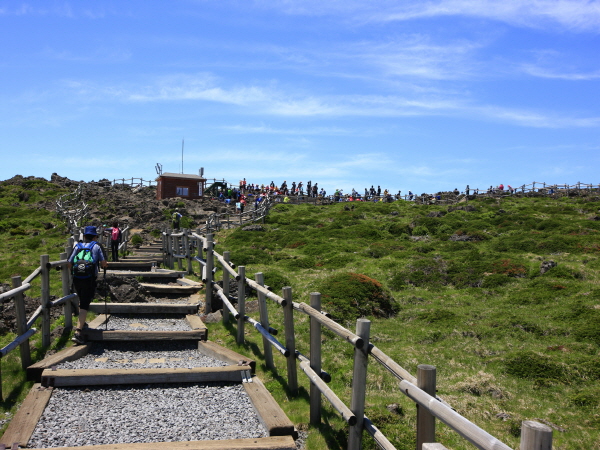 [6식제공]항공 - 제주도 가고싶다!! 한라산 등반 여행( 2박3일)