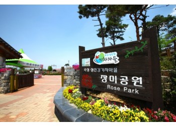 ♥봄꽃♥[KTX+버스]곡성 세계장미축제+전주한옥마을