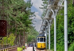 [SRT-1박]♠호텔♠부산(해운대/해변열차)vs울산(간절곶/대왕암)