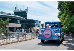 [SRT-당일]부산이 좋은데이② 장림포구+태종대+송도해수욕장