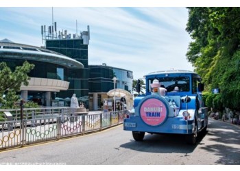 [SRT-당일]부산이 좋은데이② 장림포구+태종대+송도해수욕장