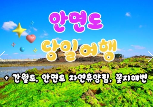 무궁화호 - 안면도 & 간월도 & 자연 휴양림 & 꽃지해변 여행(당일)