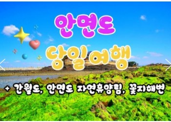 무궁화호 - 안면도 & 간월도 & 자연 휴양림 & 꽃지해변 여행(당일)