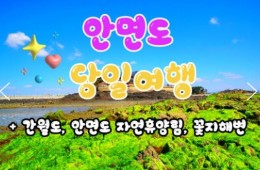 무궁화호 - 안면도 & 간월도 & 자연 휴양림 & 꽃지해변 여행(당일)