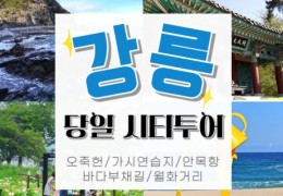 [KTX서울역/청량리역] 천년의 도시! 강릉명소(오죽헌/경포호수/안목항/바다부채길) 당일치기여행