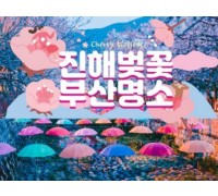 KTX - 진해벚꽃 * 군항제 & 부산 명소 탐방 & 해운대 해변열차 여행 (1박2일)