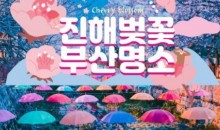 KTX - 진해벚꽃 * 군항제 & 부산 명소 탐방 & 해운대 해변열차 여행 (1박2일)