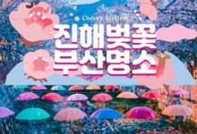 KTX - 진해벚꽃 * 군항제 & 부산 명소 탐방 & 해운대 해변열차 여행 (1박2일)