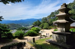 [KTX이음] 영주 세계문화유산 & 한우 미식탐방 하루 기차여행(서울출발)