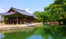 [이트레인]3월7일(토)- 광양 매화 당일-★출발확정★