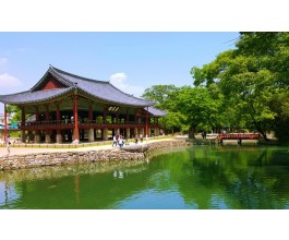 [이트레인]3월7일(토)- 광양 매화 당일-★출발확정★