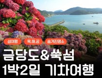 [KTX] 섬섬투어(금당도 해상투어+수국 쑥섬)&팔영산 치유의 숲 1박2일 기차여행-4식