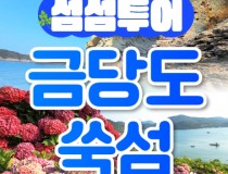 [KTX] 섬섬투어(금당도 해상투어+수국 쑥섬)&팔영산 치유의 숲 1박2일 기차여행-4식