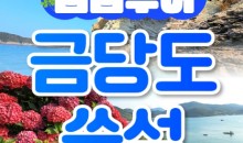 [KTX] 섬섬투어(금당도 해상투어+수국 쑥섬)&팔영산 치유의 숲 1박2일 기차여행-4식