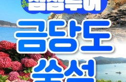 [KTX] 섬섬투어(금당도 해상투어+수국 쑥섬)&팔영산 치유의 숲 1박2일 기차여행-4식