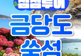 [KTX] 섬섬투어(금당도 해상투어+수국 쑥섬)&팔영산 치유의 숲 1박2일 기차여행-4식