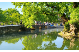 [국악와인열차] 5월 3일 남원 춘향제+광한루원 / 지리산 바래봉철쭉제+허브밸리